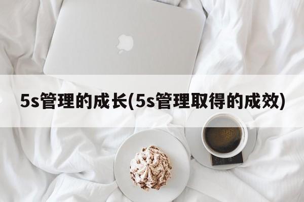 5s管理的成长(5s管理取得的成效)